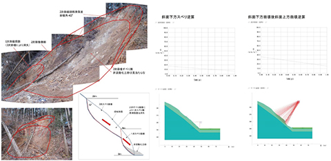 Ground Disaster Survey