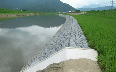 River Structure Design	