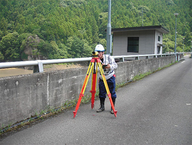 General Ground Survey